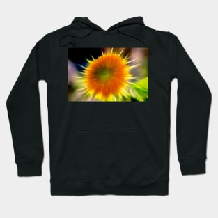 Dance to the Sun Hoodie